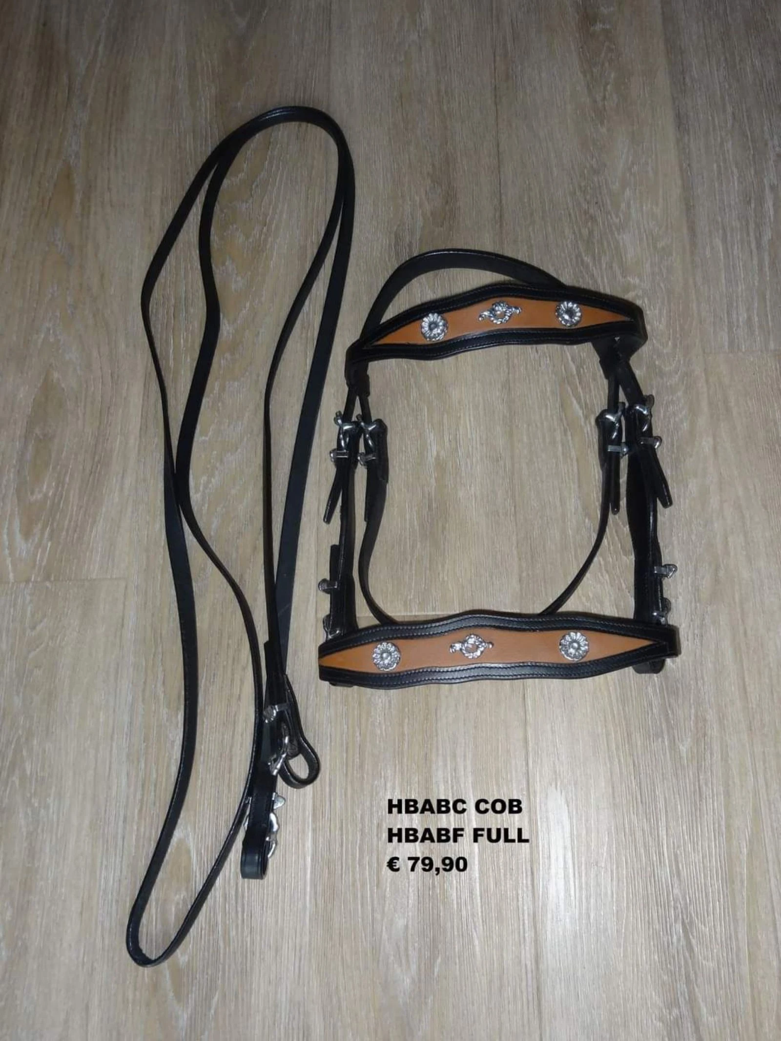 Barok hoofdstel met teugels 